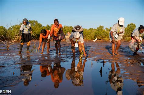 Eden Reforestation Projects