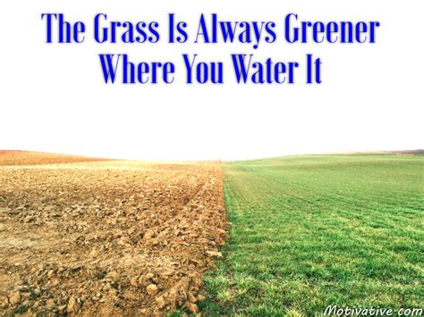 The Grass Is Always Greener Where You Water It Motivative