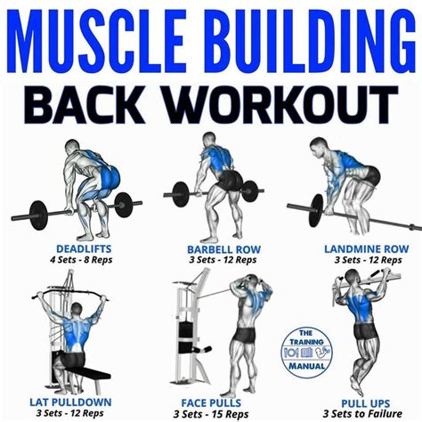 Build A Stronger Thicker Back More With These Row Variations