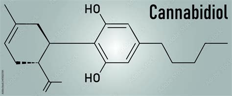 cannabidiol or cbd cannabis molecule has antipsychotic effects skeletal formula stock vector