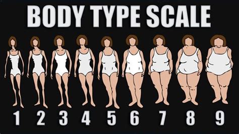 find your healthy body type healthy body body type workout body types women