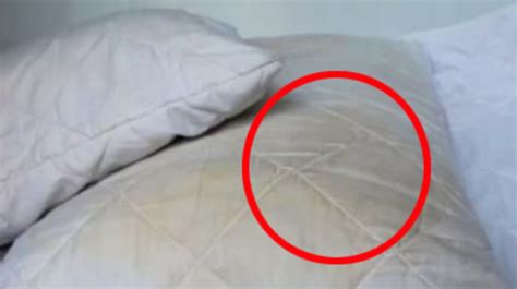 Dr Reveals Why Pillows Get Yellow Stains Dust Mites Bacteria News