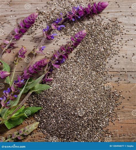 Chia Seeds With Flowers On Wooden Table Stock Image Image Of Natural
