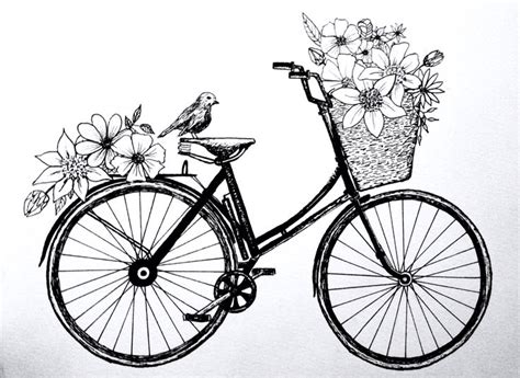 Pin By Tayna Melo Silveira On Sketches Vintage Drawing Bicycle