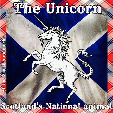 The Unicorn Scotlands National Animal Scottish Culture