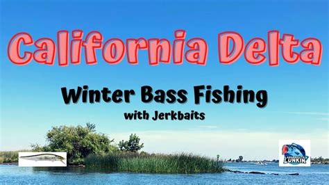 California Delta Winter Bass Fishing With Jerkbaits YouTube