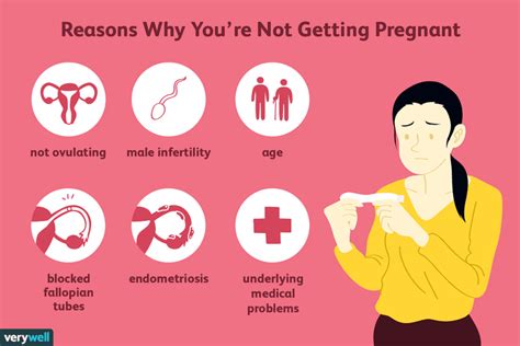 How To Get Pregnant During Irregular Periods How The Lady Will Pregnant