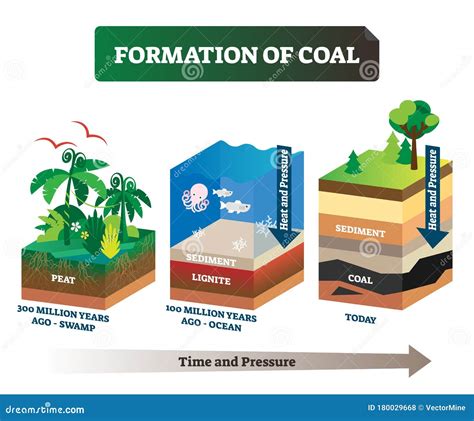 Formation Of Coal Vector Illustration Labeled Educational Rock Birth