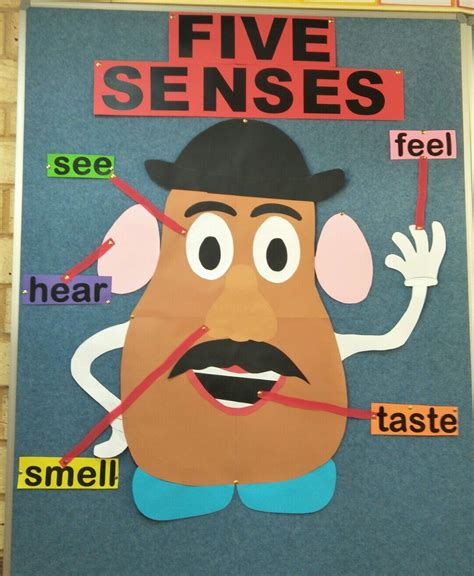 Mr Potato Head 5 Senses Printable Free Printable Templates By Nora