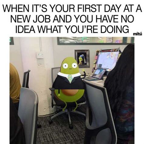 Rather have pet owners come to you? dopl3r.com - Memes - WHEN ITS YOUR FIRST DAY AT A NEW JOB ...