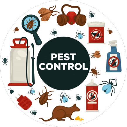Pest Control company in sahibabad, Pest Control Company in Ghaziabad, pest control company in ...