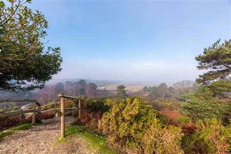 Arne Nature Reserve Dorset The Rspb