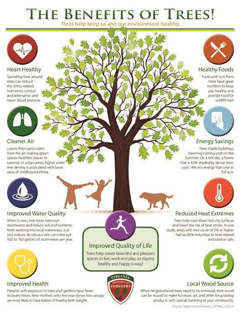 Benefits Of Trees In Communities Virginia Department Of Forestry