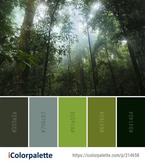 79 Rainforest Color Palette Ideas In 2023 Icolorpalette
