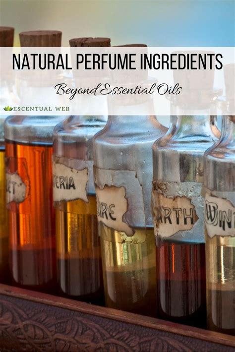 Natural Perfume Ingredients Beyond Essential Oils Escentual Web