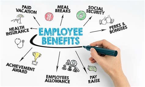 5 Employee Compensation And Benefits Diagram Quizlet