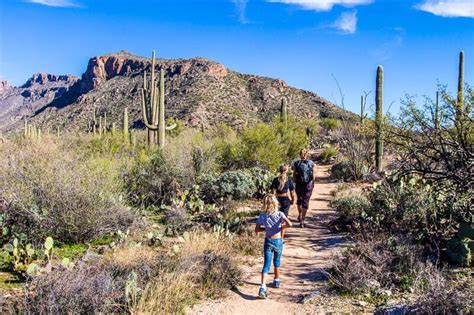 A Guide To Visiting The Magical Sabino Canyon In Tucson