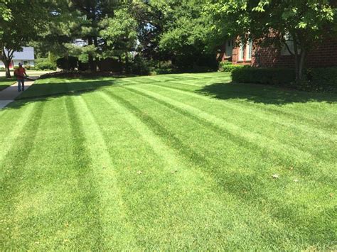 152078761503538759662980634612370n Beppes Lawn Care