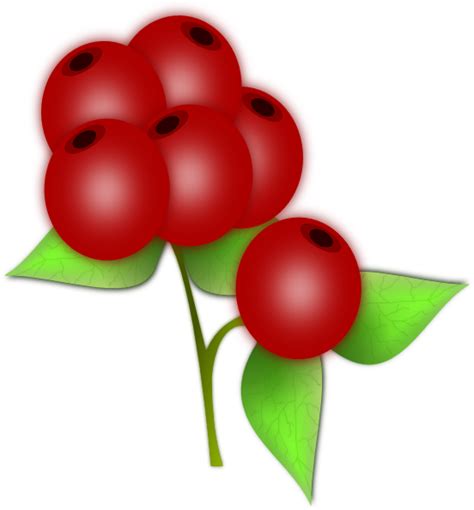 Berry Clip Art At Vector Clip Art Online Royalty Free