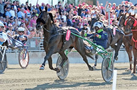 Propulsion voittoon, elian web ja chief. Elitloppet: Nytt omsättningsrekord för ATG » The Gambler ...