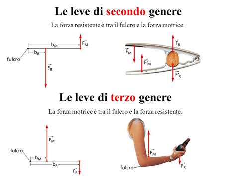 Una leva si dice di primo genere se il fulcro è posizionato tra la potenza (o forza motrice). Le leve di cameron on emaze