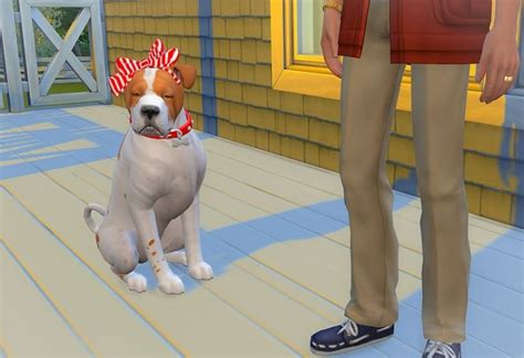 Dog Head Bow At Studio K Creation Sims 4 Updates