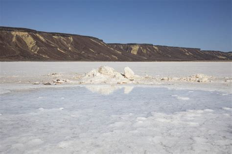 An Unusual Oasis In The Desert Salt Flats Of Mexico Baja Expeditions