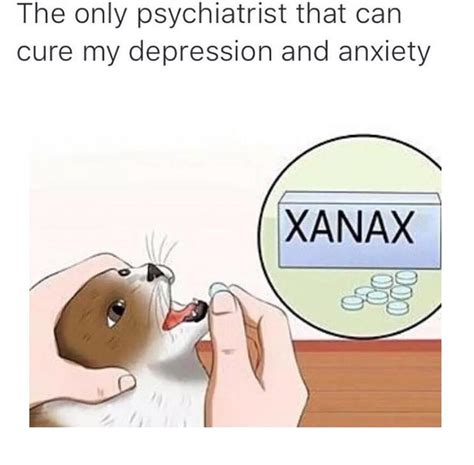 Memes That Will Cure My Depression