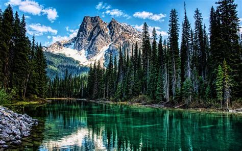 Download Wallpapers Alps Hdr Forest Mountain River Summer