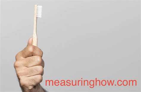 12 Things That Are 6 Inches Long Measuringhow