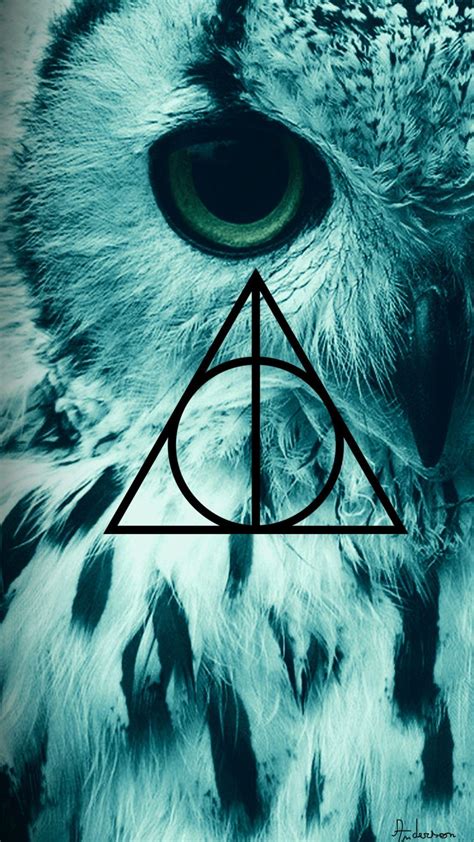 Harry Potter Owl Wallpapers Top Free Harry Potter Owl Backgrounds