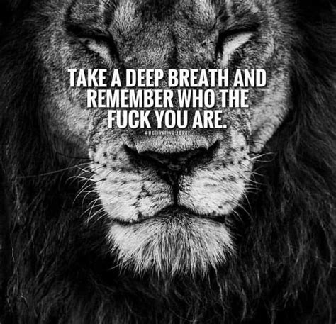 Take A Deep Breath You Got This Quotes Leo Quotes Inspirational