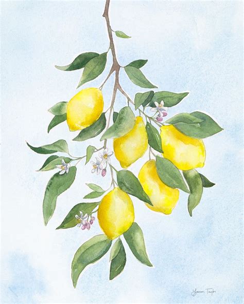 Limited Edition Clementine And Lemon Watercolor Prints Julia Berolzheimer