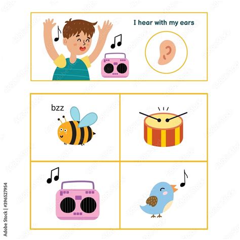 Five Senses Poster Hearing Sense Presentation Page For Kids Stock