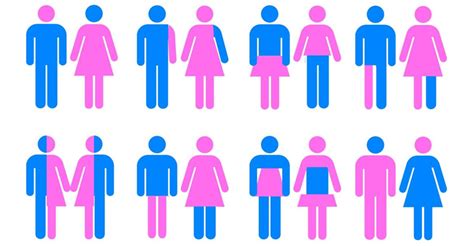 Sexo Vs Género ¿por Qué Es Importante Conocer Las Diferencias