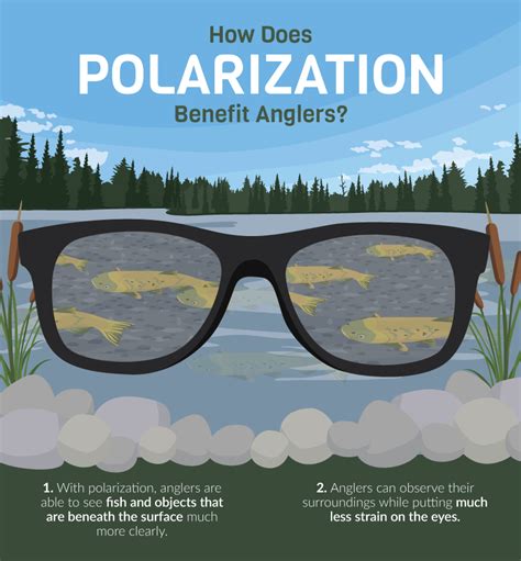 How Do Polarized Sunglasses Work Physics