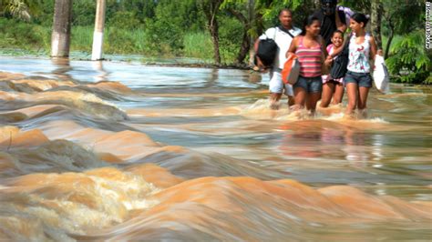 Brazilian Amazon Flooding Rainforest Cruises