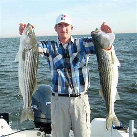 7 Best Striped Bass Lures In 2019 Fishing Guide By Captain Cody