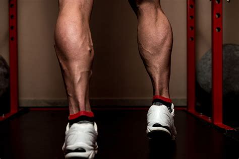 What Are The Best Calf Exercises How To Build Bigger Calves At Home