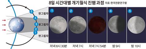 달이 지구 그림자에 완전히 가려져 붉은색으로 보이는 '블러드문'(blood moon) 개기월식 현상이 오는 26일 펼쳐집니다. 8일 저녁 7시 개기월식… '붉은 달' 우주쇼