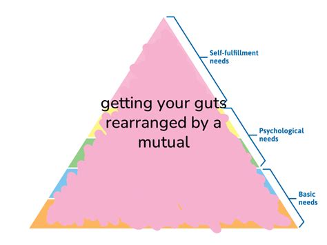 🔺hierarchy Of Needs🔺 On Twitter Getting Your Guts Rearranged By A Mutual