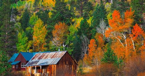 10 Most Beautiful Fall Foliage Road Trips You Can Take In Autumn