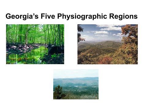 Ppt Georgias Five Physiographic Regions Powerpoint Presentation