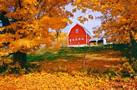 19 Beautiful Barns To Get You In The Fall Spirit Fall Foliage