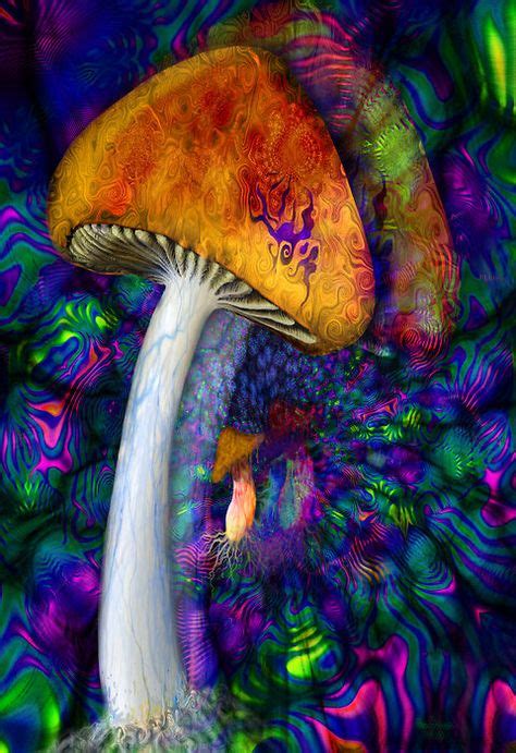 78 Magic Mushroom Art Ideas Mushroom Art Art Psychedelic Art