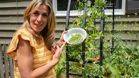 4 Ways To Increase Your Sugar Snap Peas Production • Gardenary