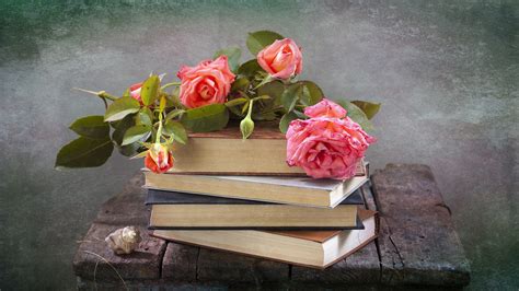 Zoom Backgrounds Wall Unit With Flower And Books