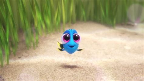 New Adorable Baby Dory Clip From Findingdory Kat Balog