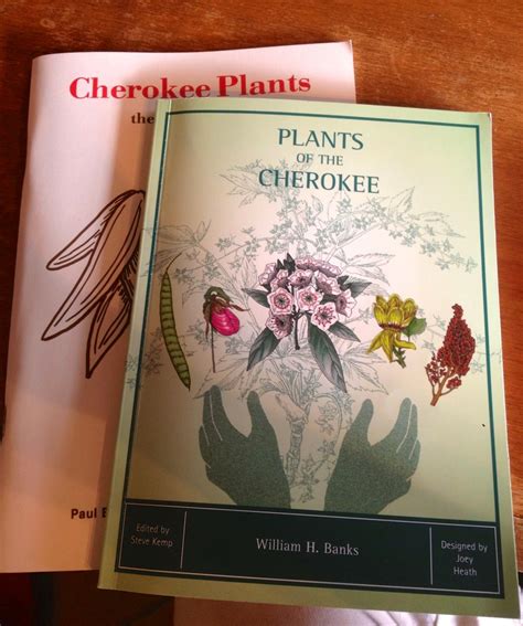 Plants Of The Cherokee And A Road Trip Through The Cherokee Nation