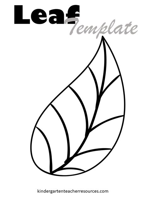 Free Printable Leaf Template Many Designs Are Available